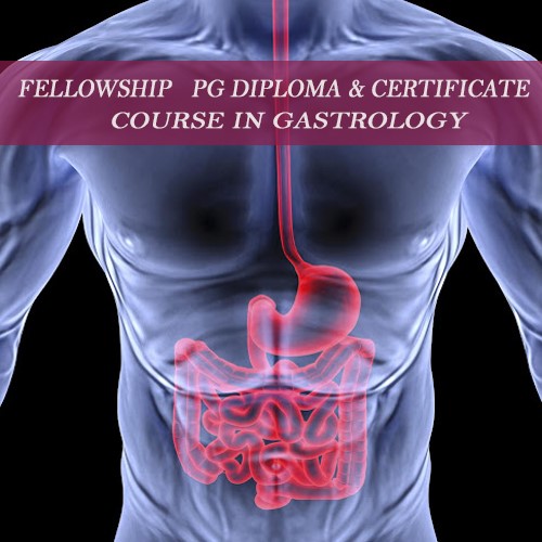 Gastroenterology