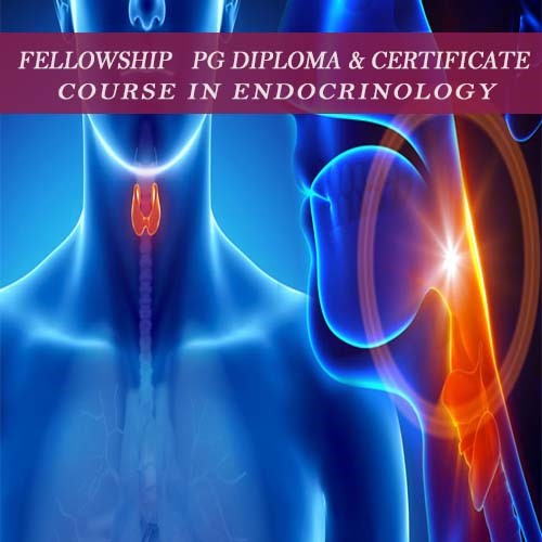 Endocrinology Course