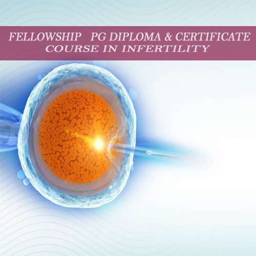Infertility Training Courses
