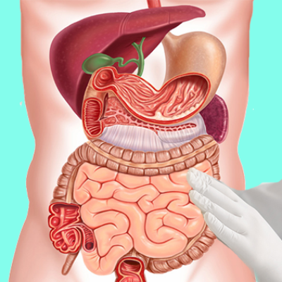 Fellowship in Gastroenterology