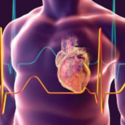 2D Echo Course Online