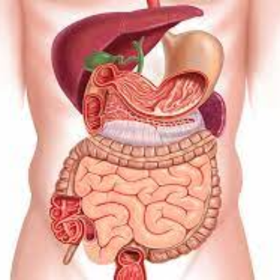 Advance Certificate Course in Gastroenterology