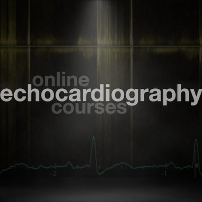 Certificate Course in Echocardiography