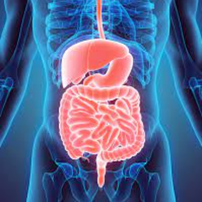 Certificate Course in Gastroenterology