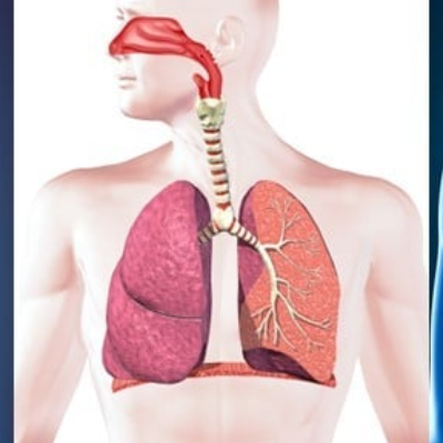 Certificate Course in Respiratory Medicine