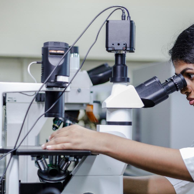 Clinical Embryology Courses