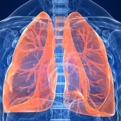 Diploma in Pulmonology