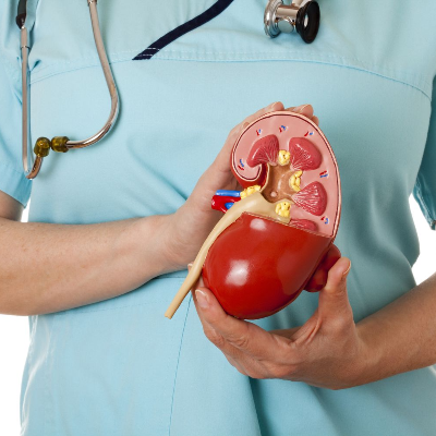 Nephrology Certificate Course
